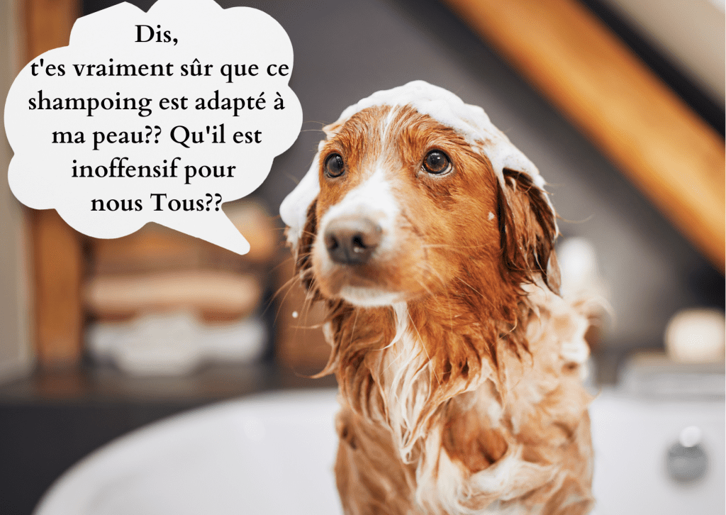 Des poisons dans les shampoings pour chiens!!! Nan!!! Si, si.....