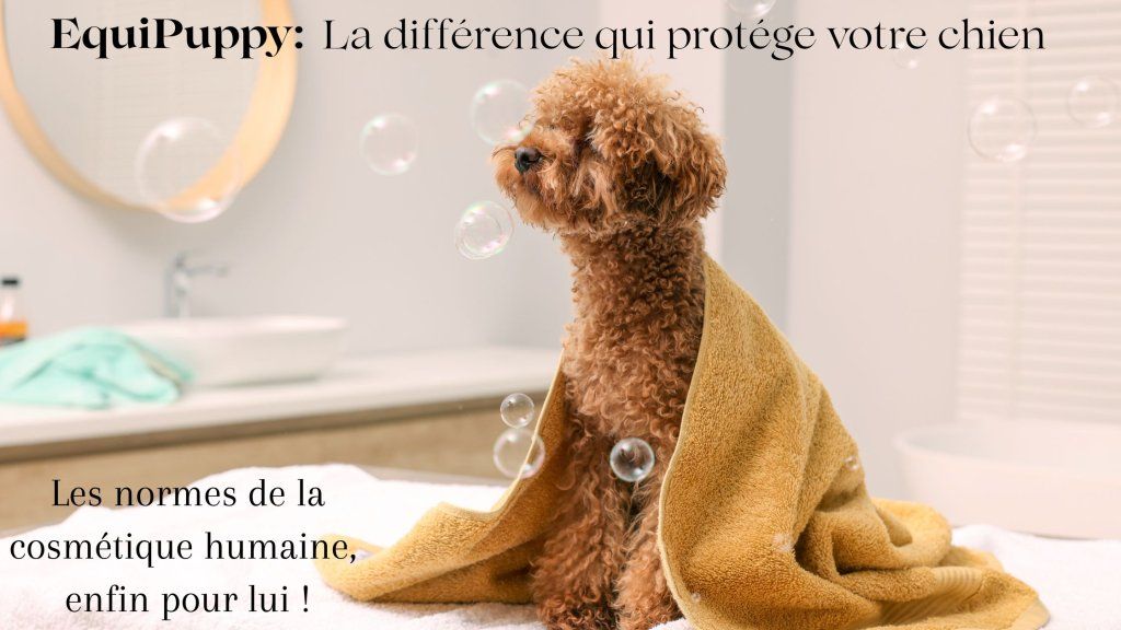 Cosmétique Animale : Pourquoi la "Norme Humaine" est le Seul Vrai Gage de Sécurité pour Vos Chiens