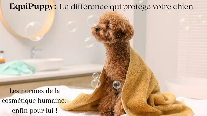 Cosmétique animale:Pourquoi la "Norme Humaine" est le seul vrai gage de sécurité pour vos chiens