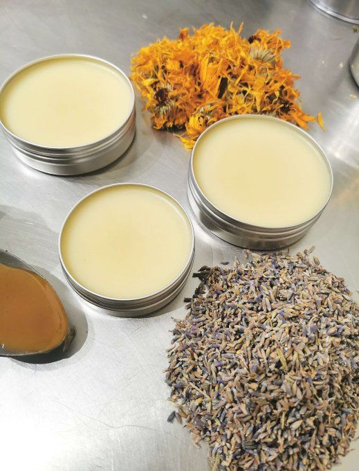 Baume Bio calendula et miel pour chien