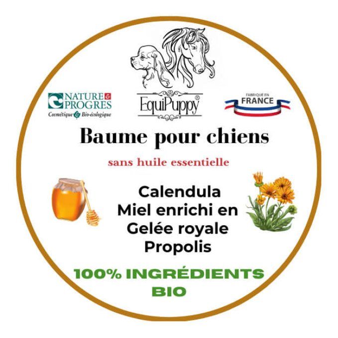 Baume Bio calendula et miel pour chien