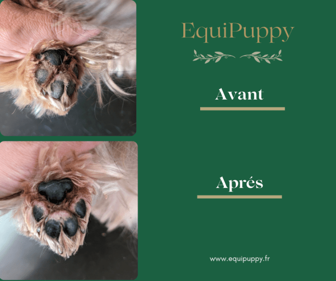 baume 100% biologique chien EquiPuppy