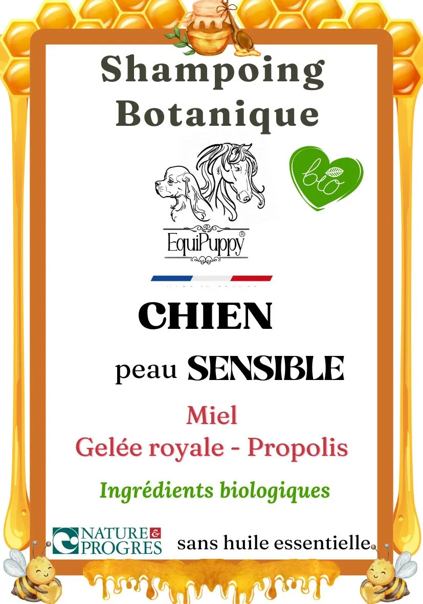Shampoing pour chien naturel et bio- chien peau sensible