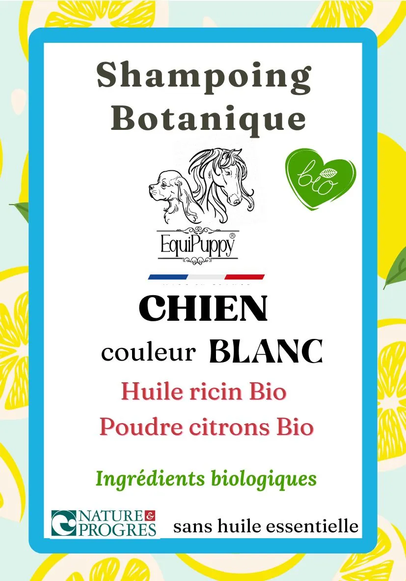 Shampoing naturel et bio pour Chien blanc