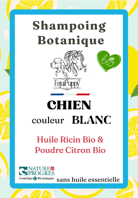 shampoing bio chien poils blancs-Equipuppy