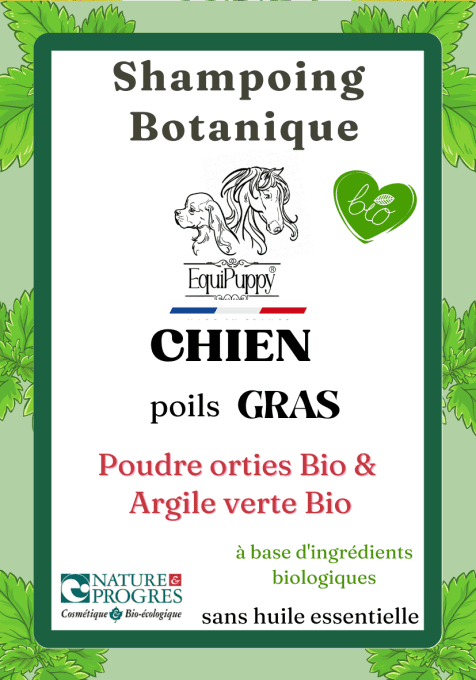 Shampoing Bio chien poils gras