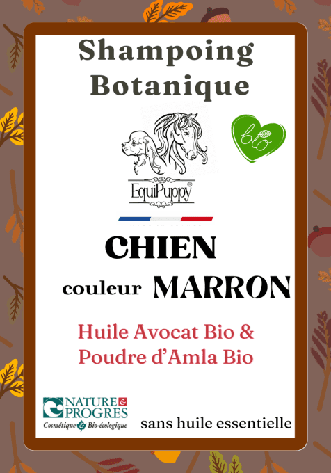 shampoing bio cien poils marrons-Equipuppy