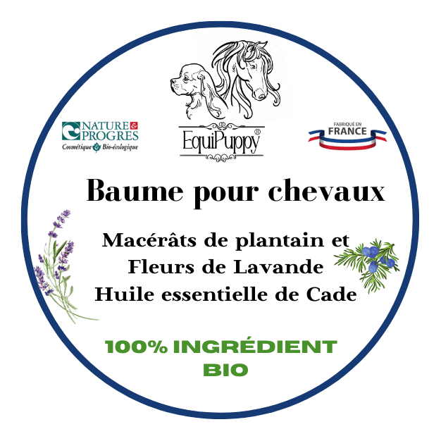 Baume Bio pour chevaux: Macérât plantain et fleurs de Lavande