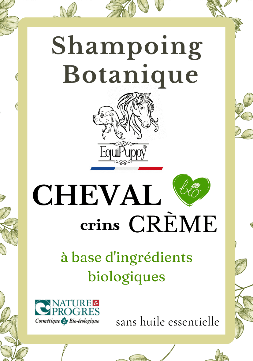 Shampoing Bio Cheval - Crins Crème- Sans  SCI