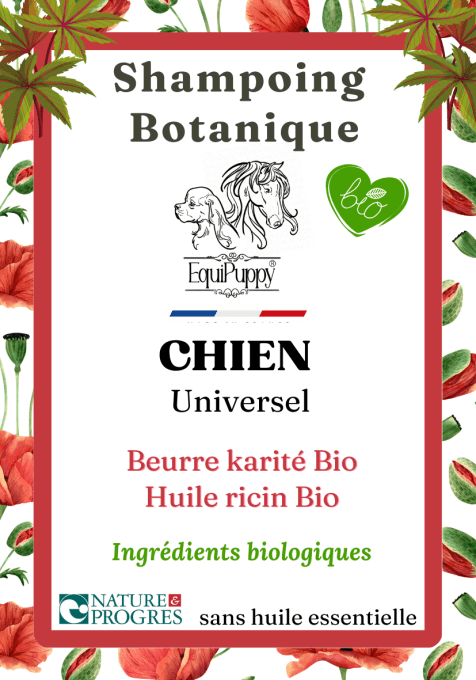 Shampoing Bio chien Universel